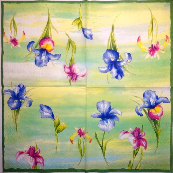 047 Lilies - 3 ply - (grün/blau/rosa) - Ihr